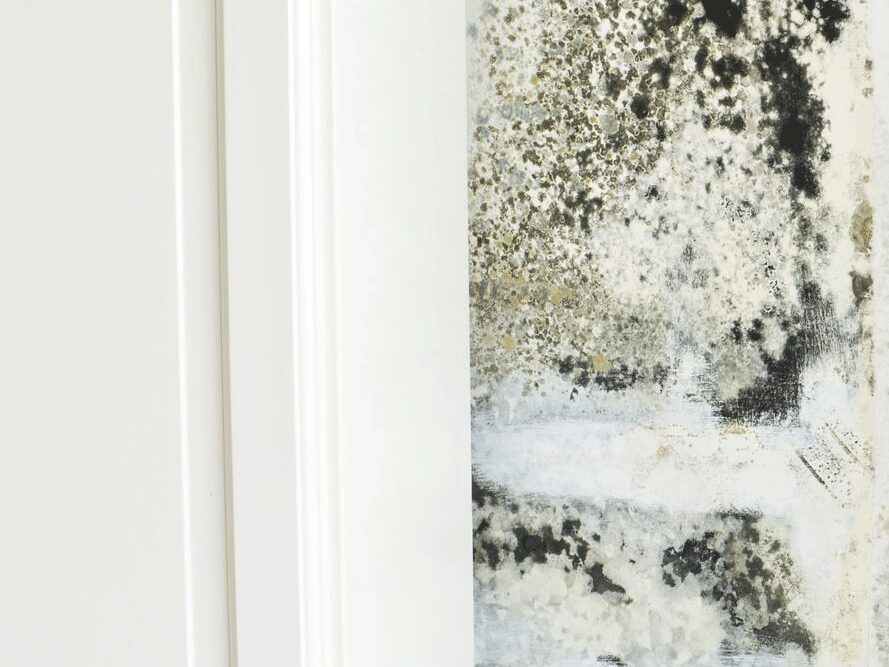 mould on wall