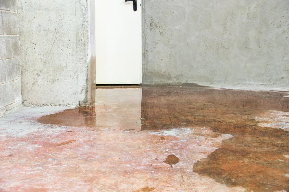 vochtschade verzekering water in de kelder